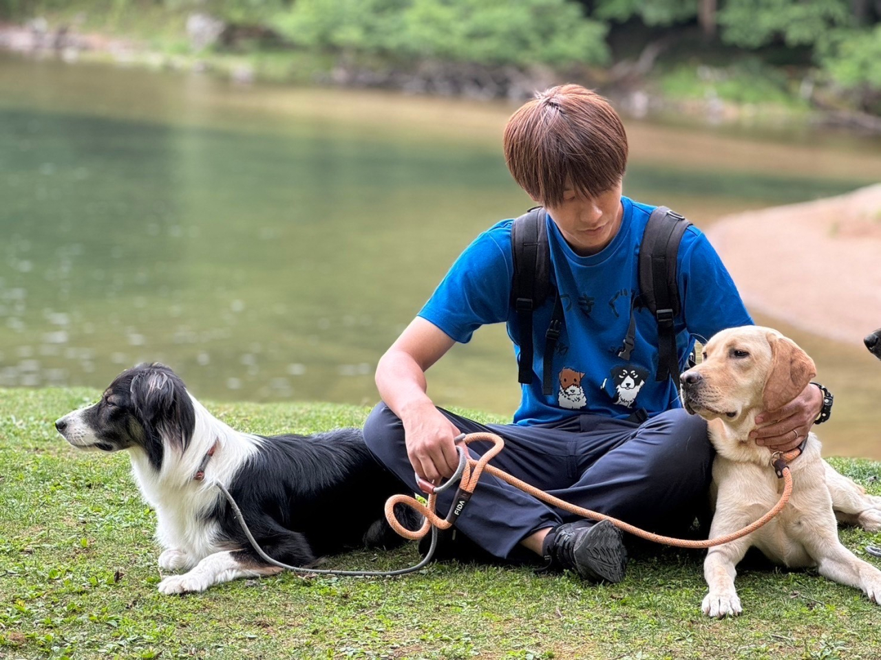 犬のしつけ、トレーニングのことなら野田市にあるWANPARKとわSKYにお任せください