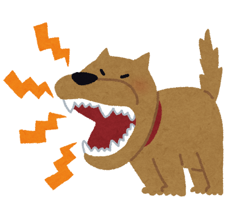 犬の問題行動のほとんどは○○不足って知ってた？愛犬の困った行動、意外な原因と解決策